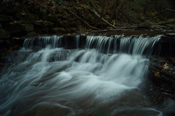 Fototapeta premium waterfall in the forest