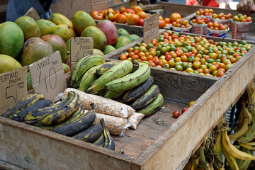 small market cart in the streets of havana