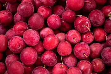 COMIDA MEXICANA COLORES INGREDIENTES TEXTURAS