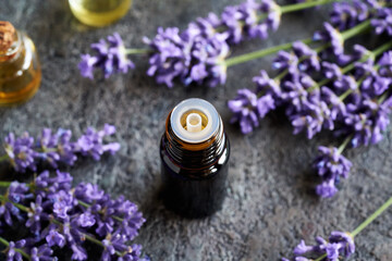 A bottle of essential oil with fresh blooming lavender