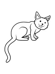 Süße liebe Katze sitzt 