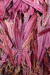 COMIDA MEXICANA COLORES INGREDIENTES TEXTURAS