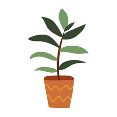 Home plant in decorative plant pot isolated on white background. Doodle scandinavian style. Design flat vector element. Vector illustration