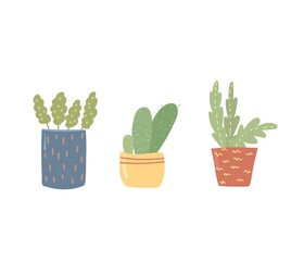 Illustration of flowers in pots. Drawn cartoon plants in colorful flowerpots.