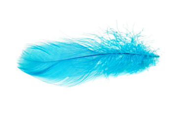 Elegant fluffy feather colorful isolated on the white background