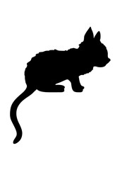 Silhouette Schatten niedliches Kätzchen