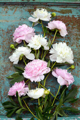 Bouquet of white and pink peonies on a textured background. Vertical, top view
