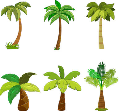 Cartoon Different Tropical Palm Tree. Vector Hand Drawn Collection Set Isolated On White Background