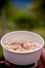 Arroz en leche