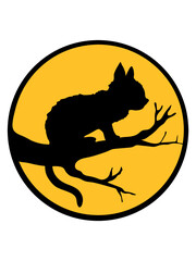 Schwarze Katze Mond Baum 