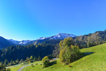 Fototapeta na wymiar Bergdorf Ebnit im Gemeindegebiet der Stadt Dornbirn in Vorarlberg (Österreich)