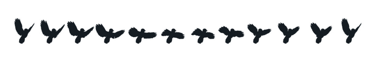 A complete cycle of bird flight animation. black and white silhouette.
