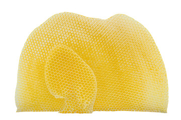 wax is made by bees, cells are filled with honey