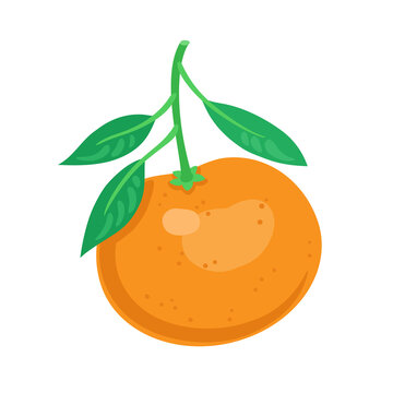 Mandarin orange fruit with green leaves. In cartoon style. Isolated on white background. Vector flat illustration.