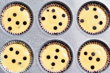 Fototapeta premium Baking tray with muffins paper cases filled with muffin dough, ready for baking. Making of muffins with chocolate chips