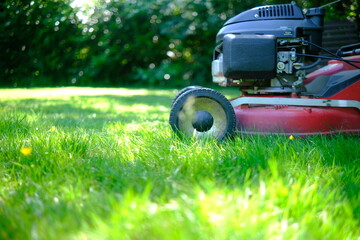 lawn mower on the lawn