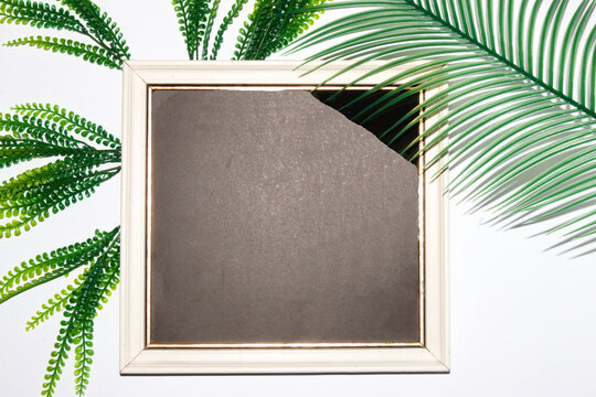 old retro frame with gray copy space around it white background with jungle leaves, creative modern summer design, elegant background