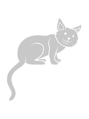 Niedliches K&auml;tzchen sitzt s&uuml;&szlig; 