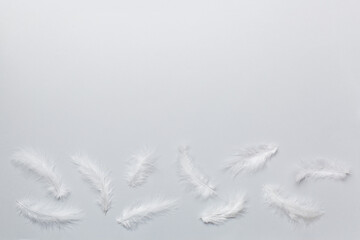 background of brightly colored dyed bird feathers on Colored background, top view. Copy space