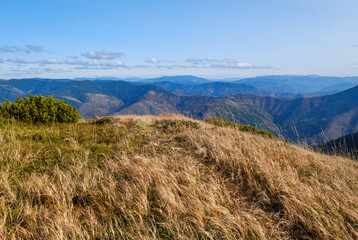 Autumn morning Carpathian Mountains calm picturesque scene, Ukraine.