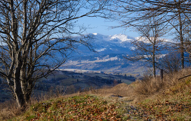 Last good weather days in autumn mountain countryside morning peaceful picturesque scene. Ukrainian Carpathians mountains in far.