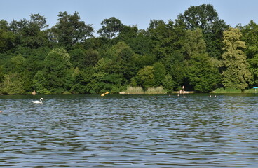 Baggersee in Freiburg-Opfinger im Sommer