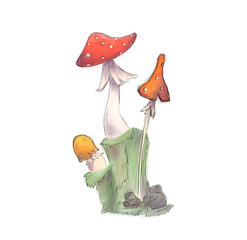 Mushroom