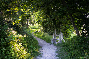 The East Sussex Countryside