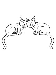 Katzen Team 2 Freunde 