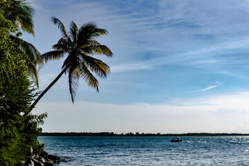 Fototapeta na wymiar View of the beach of cacha-pregos with coconut trees, Vera Cruz, Bahia
