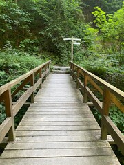 Obraz premium tal der wilden endert, greimersburg, endert, cochem, eifel, wanderweg, deutschlands, feldweg, landwirtschaftlicher verkehr, frühling, sommer, wald, natur, ins grüne, traktor, wald, wiese, weide, natur