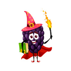 Cartoon blackberry or bramble magician, wizard character with torch. Funny vector berry wiz in witch hat and spellbook. Ripe garden plant sorcerer with smiling face, healthy mulberry astronomer