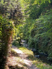 tal der wilden endert, greimersburg, endert, cochem, eifel, wanderweg, deutschlands, feldweg,...