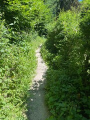 tal der wilden endert, greimersburg, endert, cochem, eifel, wanderweg, deutschlands, feldweg, landwirtschaftlicher verkehr, frühling, sommer, wald, natur, ins grüne, traktor, wald, wiese, weide, natur