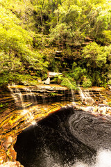 Fototapeta premium waterfall in the woods