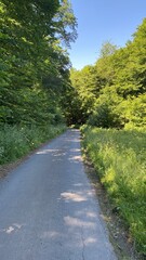 tal der wilden endert, greimersburg, endert, cochem, eifel, wanderweg, deutschlands, feldweg, landwirtschaftlicher verkehr, frühling, sommer, wald, natur, ins grüne, traktor, wald, wiese, weide, natur