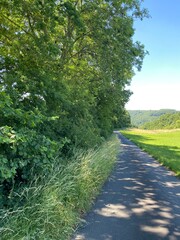 Obraz premium tal der wilden endert, greimersburg, endert, cochem, eifel, wanderweg, deutschlands, feldweg, landwirtschaftlicher verkehr, frühling, sommer, wald, natur, ins grüne, traktor, wald, wiese, weide, natur