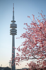 Sakura Olympic Tower