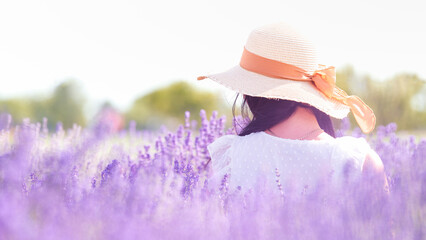 In a field of purple lavender, a lady in a straw hat among the flowers is only visible from behind.