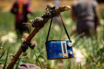 Radio en el campo rural de montaña
Radio in a rural mountain field
