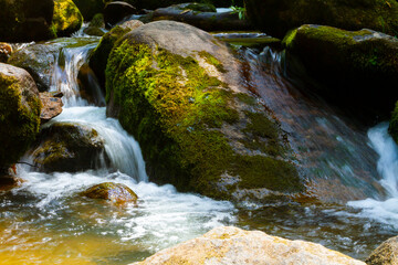 A creek and flowing water close up.