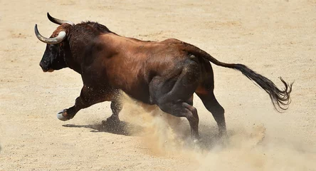 Fotobehang Stierenvechten spanish bull with big horns in the bullring arena  © alberto