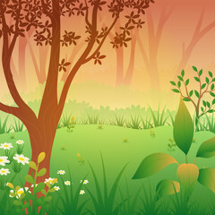 Sunset or sunrise in forest with tree silhouette, plants and grass