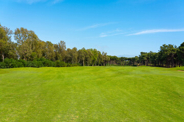 Landscape view of beautiful golf course surrounded with pines in Turkey Belek