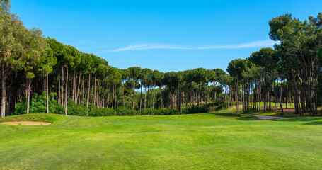 Panoramic view of beautiful golf course with pines on sunny day. Golf field with fairway, lake and...