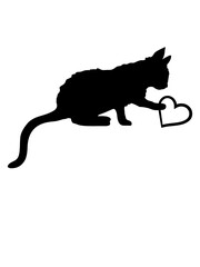 Berührt Herz niedliches Kätzchen 