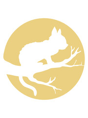 Baum Mond Schwarze Katze 