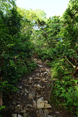 Mountain climbing in summer season