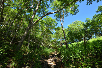 Mountain climbing in summer season