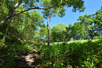 Mountain climbing in summer season